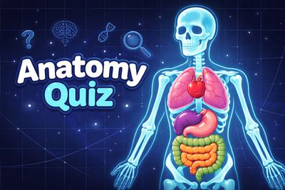 Anatomy Quiz