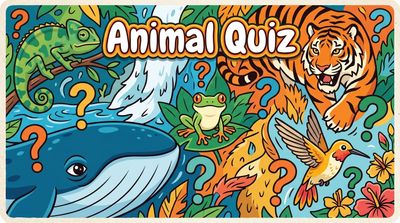 Animal Quiz