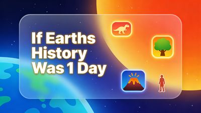 If Earth's History Were One Day