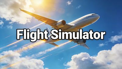 Flight Simulator
