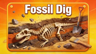 Fossil Dig