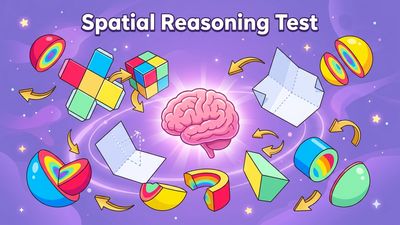 Spatial Reasoning Test